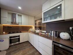 The Trumps (D14), Condominium #585507771